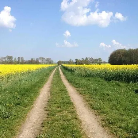 Leuchtturmblick Nahe Kuehlungsborn * Bastorf