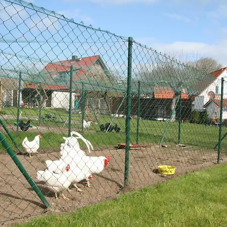 Homestay Leuchtturmblick Nahe Kuehlungsborn Bastorf