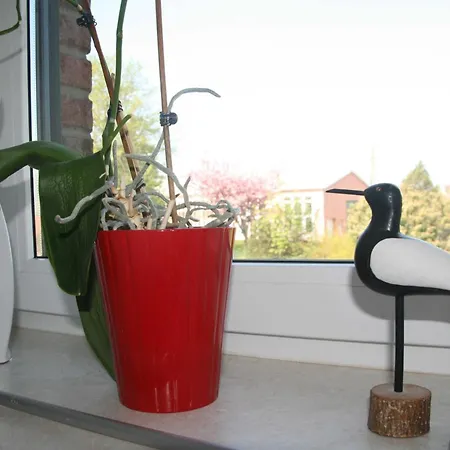 Homestay Leuchtturmblick Nahe Kuehlungsborn