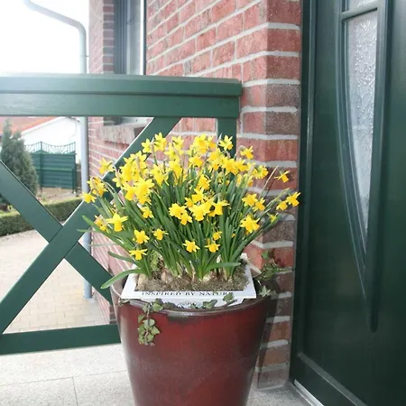 Leuchtturmblick Nahe Kuehlungsborn